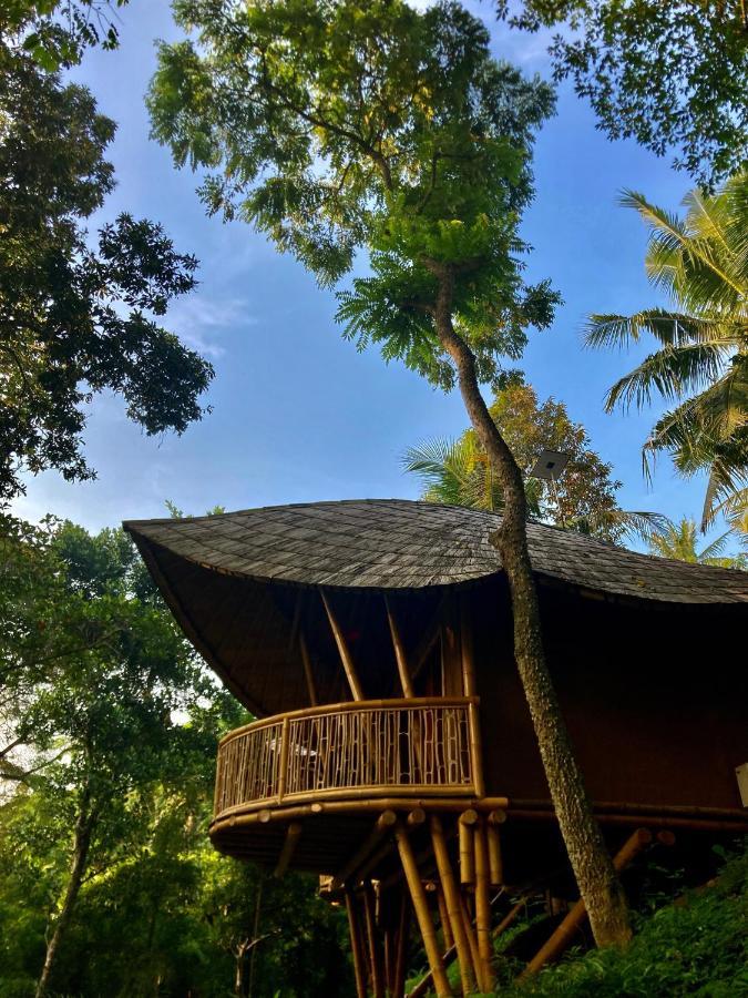 Lodge Bamboo Turtles Ubud