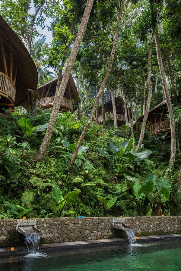 Lodge Bamboo Turtles Ubud (Bali)