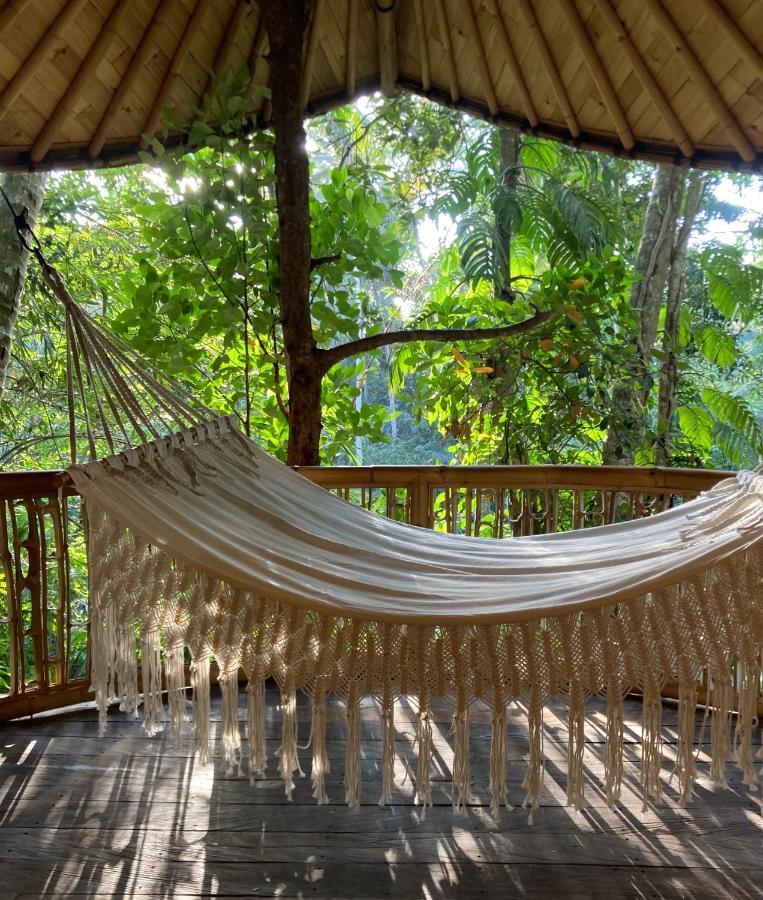 Lodge Bamboo Turtles Ubud (Bali)